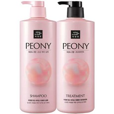 미쟝센 펄샤이닝 퍼퓸 피오니향 1000ml 샴푸1개+ 트리트먼트1개, 단일, 1개, 1L