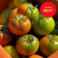 [산지 직송] 대저 짭짤이 토마토, 1박스, 2.5kg (M 중과)