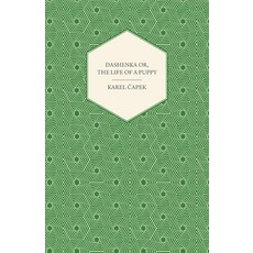 (영문도서) Dashenka Or the Life of a Puppy Paperback, James Press, English, 9781447422716
