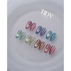 프롬더네일 타이디 자석 젤네일, FG303, 10g, 1개