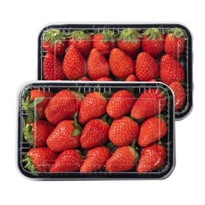 장희딸기 500g (특대품. 15~18과 랜덤) 2팩 _동이농장, 1개