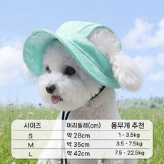강아지 여름 통기성 귀노출 썬캡 소형견 모자, 민트 그린