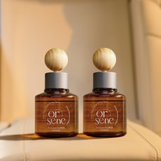1+1 올센느 차량용 방향제 디퓨저 자동차방향제 80ml 새차선물 차량용디퓨저, 1세트, 포레스트 로드