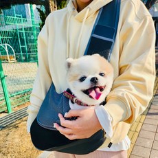 모던세븐 강아지 슬링백 메쉬 끈조절 포대기, 1개