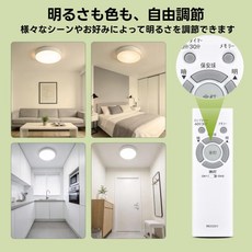 LED 실링 라이트 리모컨 RE0201 반딧불이용 SLDZD12500L 대응, 09 반딧불스 RE0211, 10 RE0211