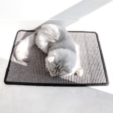 ECOPET with 貓咪貓抓墊 60 x 40 cm
