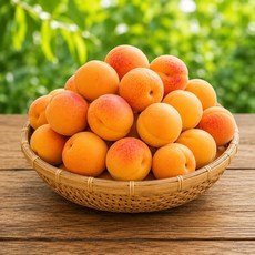 [50박스한정] 특대과 고당도 영천 살구, 1박스, 1kg