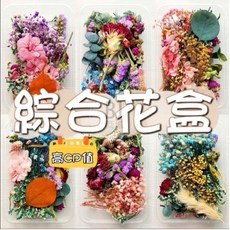 綜合乾燥花盒 真花壓花 永生花 植物標本 DIY水晶滴膠素材