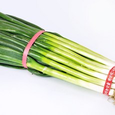 농협 신선 대파 2kg, 1개