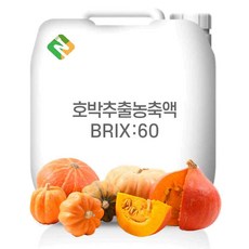 호박추출농축액 60Brix 200g 샘플, 1개