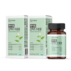 더건강드림 파이토 삼백초 추출물, 2개, 120정