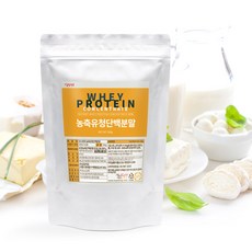 갑당약초 농축 유청단백분말 WPC 분리유청단백 유청단백질 프로틴, 5개, 500g