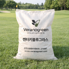 베라노 켄터키블루그라스 1kg/10kg/20kg 정원잔디 골프장 잔디씨 양잔디, 1개