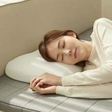 Airnest 에어네스트 에어레브 경추 베개 세척 가능한 에어라인 쿨링 냉감 신소재, 시그니처 베개 + 모달 커버, 1개