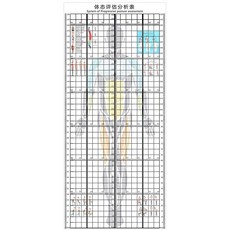 체형 스크린 격자 자세 측정 필라테스 분석 헬스장 모눈종이 평가, 폭 90 높이 200 검정색