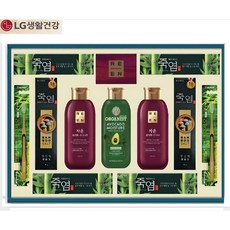 LG생활건강 진심세트 특1호 종합선물세트 리엔샴푸 죽염치약 바디워시 칫솔 명절 기업 단체, 6개