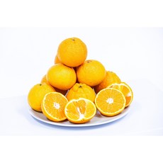 귤부심 한라봉 당도선별 제주 산지직송, 1개, 한라봉 혼합 10kg