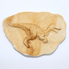 사이언쌤 찰흙공룡화석만들기 6인용, B타입 추가시료(석고)구매, 1세트