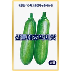 산들 애호박씨앗 15립 다수확 소량 애호박씨 종자, 1개