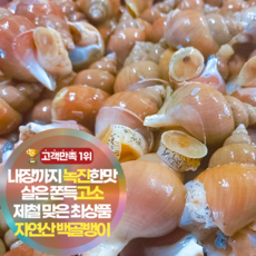 삼시세끼연구소 동해 자연산 백골뱅이 활골뱅이 생물 내장까지 녹진한 제철 최상품, 1박스, 1kg(대)