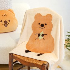 밍크 소프트 큰사이즈 담요 소프트담요 사계절담요 거실용담요