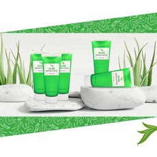 공스킨 알로에 올인원 로션 100ml x 2개 알로에 잎추출물 수분감 진정 (Kingston Aenue)