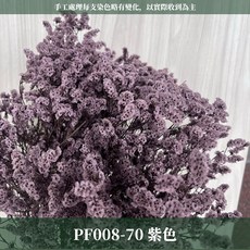 CANLONGER FLOWER 水晶花, 70紫,原裝(超取會修剪適合裝箱尺寸), 1個