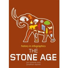 History in Infographics: Stone Age Paperback, Wayland, English, 9780750291972
