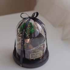 DAY OFF 永生花夜燈燈盅 畢業禮物 永生花玻璃鐘罩 情人節禮物 乾燥花交換禮物 婚禮小物 生日禮物 七夕, 黑綠