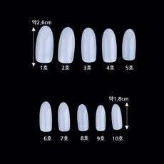 리필용 오벌팁 50팁 불투명|투명, 1개, 투명 1호