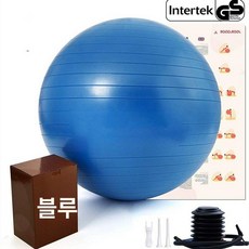 짐볼의자 고정대 짐볼체어 밸런스 코어운동 요가, 블루 2개