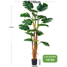 조화 조경 몬스테라 상품 장식 키 거실 소품 매장 카페, 거북이 등나무 높이 220cm