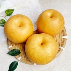국내산 성환배 1과 제수용배, 1개, 700g