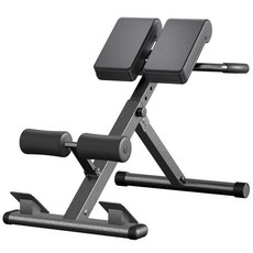 리핀247 노르딕컬 운동 대퇴이두 헬스장 윗몸일으키기, 기본 로만 체어