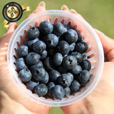 수입산 블루베리 생과 생블루베리 중과 대과, 1개, 125g(중과)