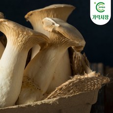 [온도씨]가락시장 당일경매 새송이 1팩(500g), 1개