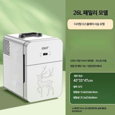 미니 냉장고 소형 차량용 가정용 컴프레서 저소음 온도조절 음료수 보관 냉온장고, B_SAST 더블 도어 냉동 26L, 26L