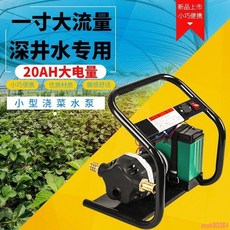 12v 澆菜水泵 大流量 抽水泵 1寸 充電 大功率 戶外農用灌溉 便攜式家用 菜園澆水神器, 1個, 雙泵12A（4分水管5米）