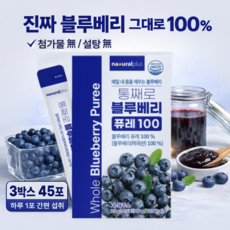 플러스 통째로 갈아넣은 블루베리 퓨레 스틱 15포 NFC 무첨가 과일즙 건강간식, 3박스, 300g