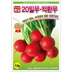 아시아종묘 20일 적환무 씨앗 12g, 2개