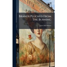 (英文圖書)Brands Plucked From The Burning 精裝版, Hutson Street Press, 英文