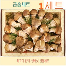 고급 참송이버섯 수확 후 발송 금송, 1세트