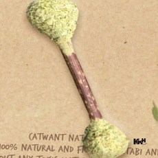 캣닢 덴탈 봉 고양이장남감