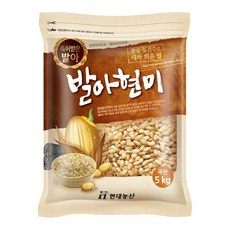 현대농산 국산 발아현미 5kg, 1개