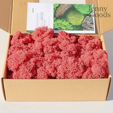 제니앤굿즈 모나코플라워 스텔라 모스이끼 사랑의레드 200g 장식용