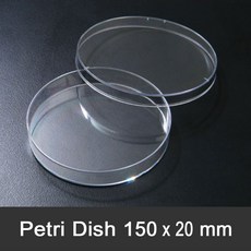 SPL 페트리디쉬 150 x 20mm 120개(box) 10150 PETRI DISH 멸균