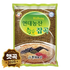 현대농산 국산 차조 2kg, 1개