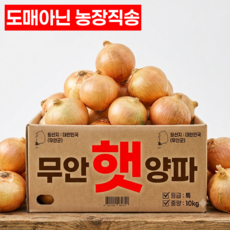 [최상품] 무안 햇양파 국산 특품, 1박스, 5kg (중 사이즈)