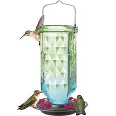 Seafoam 옴브레 기둥 중력 유리 벌새 피더 야외 장식용 652g(23온스) 넥타 6개의 유연한 꽃 포트 연속 퍼치 링 및 세척이 쉬운 2파트 베이스 꿀벌 방지 디자, Seafoam 옴브레 기둥 중력 유리 벌새 피더, 야외