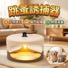 跳蚤燈 飛蟲誘捕器 寵物家用 無毒無味 黏捕式 飛蛾蚊蟲捕捉燈 110V, 1個, 跳蚤燈 一套